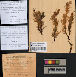 LE A0000085