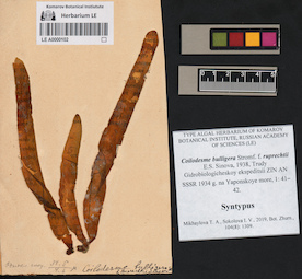 LE A0000102