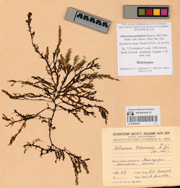 LE A0000204
