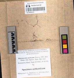LE A0000210
