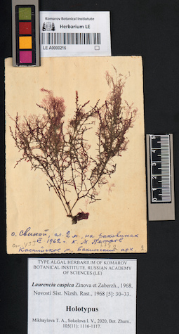 LE A0000216