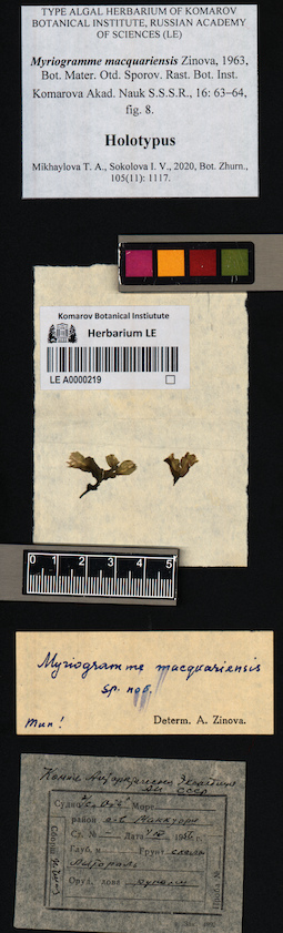 LE A0000219