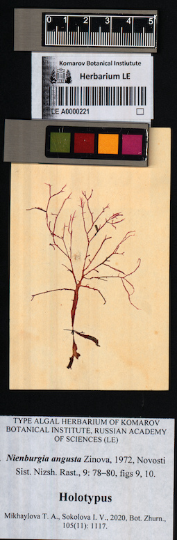 LE A0000221
