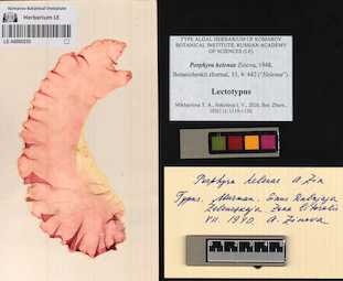 LE A0000235