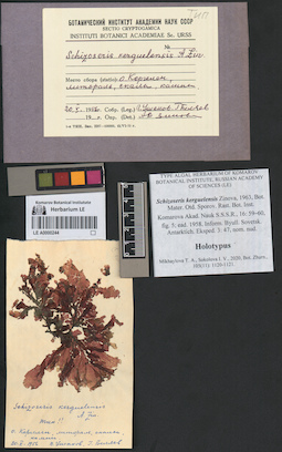 LE A0000244