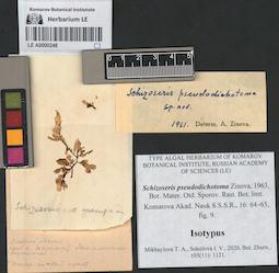 LE A0000248