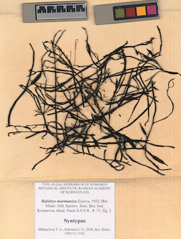LE A0000254
