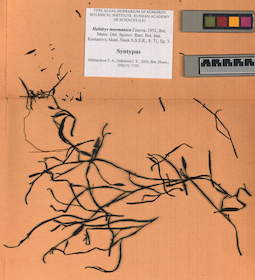 LE A0000255