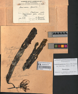 LE A0000261