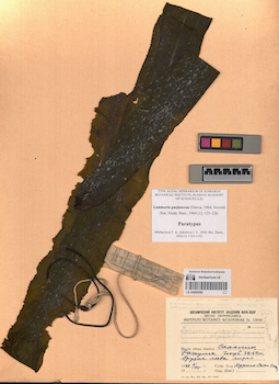 LE A0000266