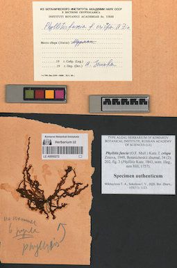 LE A0000272
