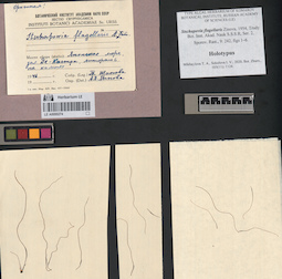 LE A0000274