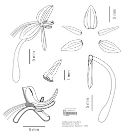 LE 01089658