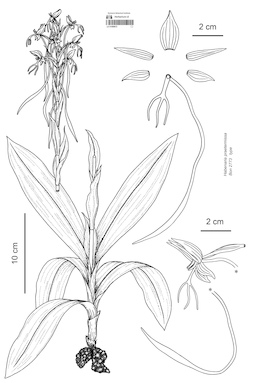 LE 01089672