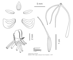 LE 01089692