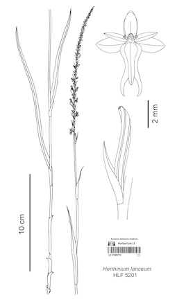 LE 01089719