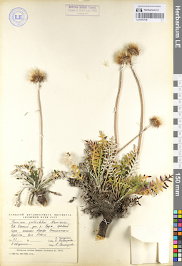 LE 01072128