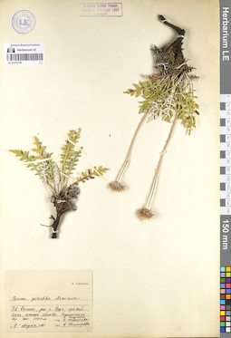 LE 01072130
