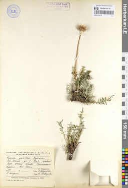 LE 01072133