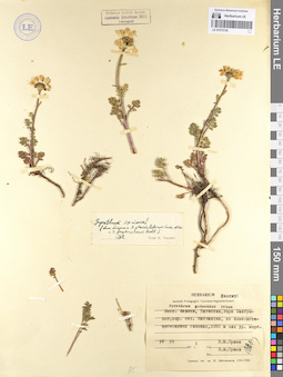 LE 01072136