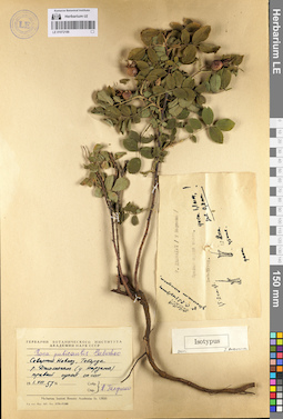 LE 01072188
