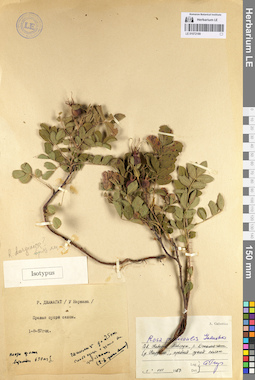LE 01072189