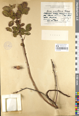 LE 01072196