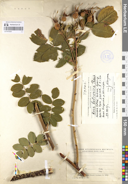 LE 01072223