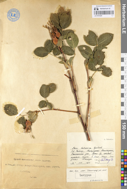 LE 01072225