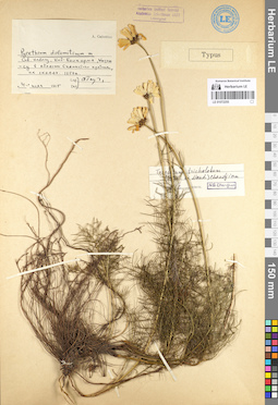 LE 01072255