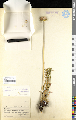 LE 01072259
