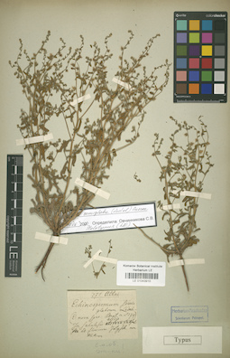 LE 01043910