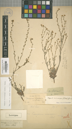 LE 01042288