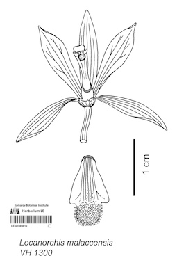 LE 01089810