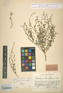 LE 01072408