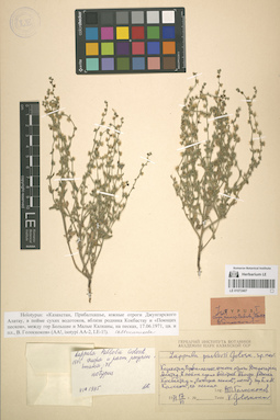 LE 01072407