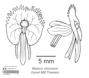 LE 01090090