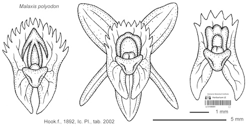 LE 01090091