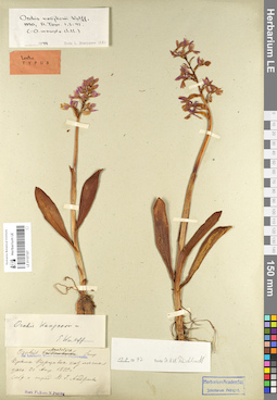 LE 01107107
