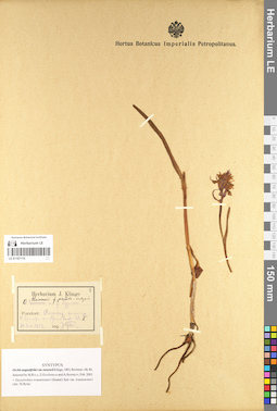 LE 01107115