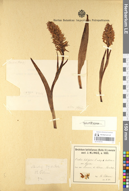 LE 01107770