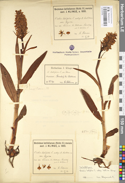 LE 01107784
