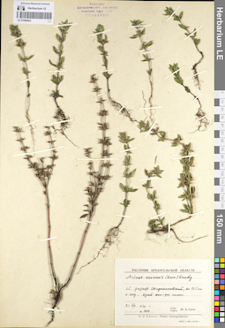 LE 01099653