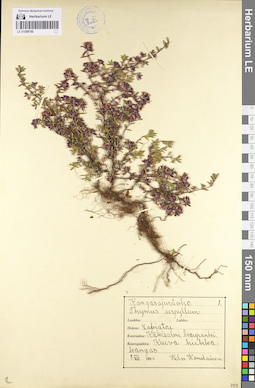 LE 01099700