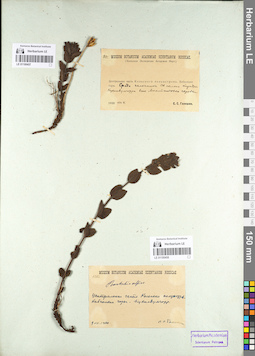 LE 01100458