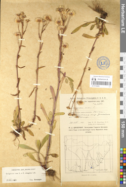 LE 01102455