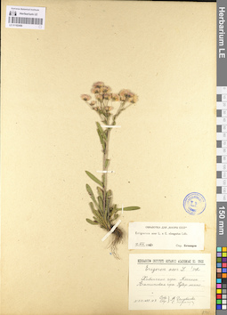 LE 01102456