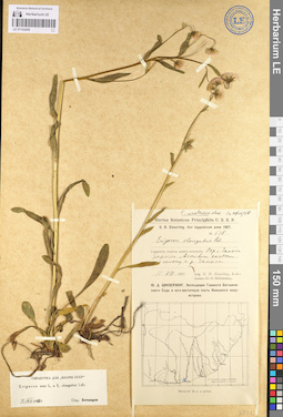 LE 01102459