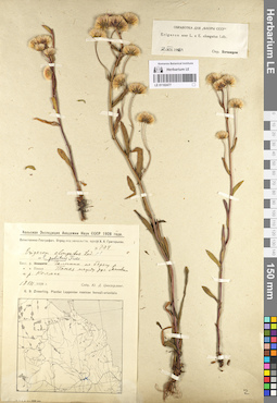 LE 01102477