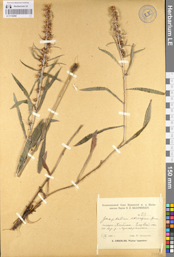 LE 01102668